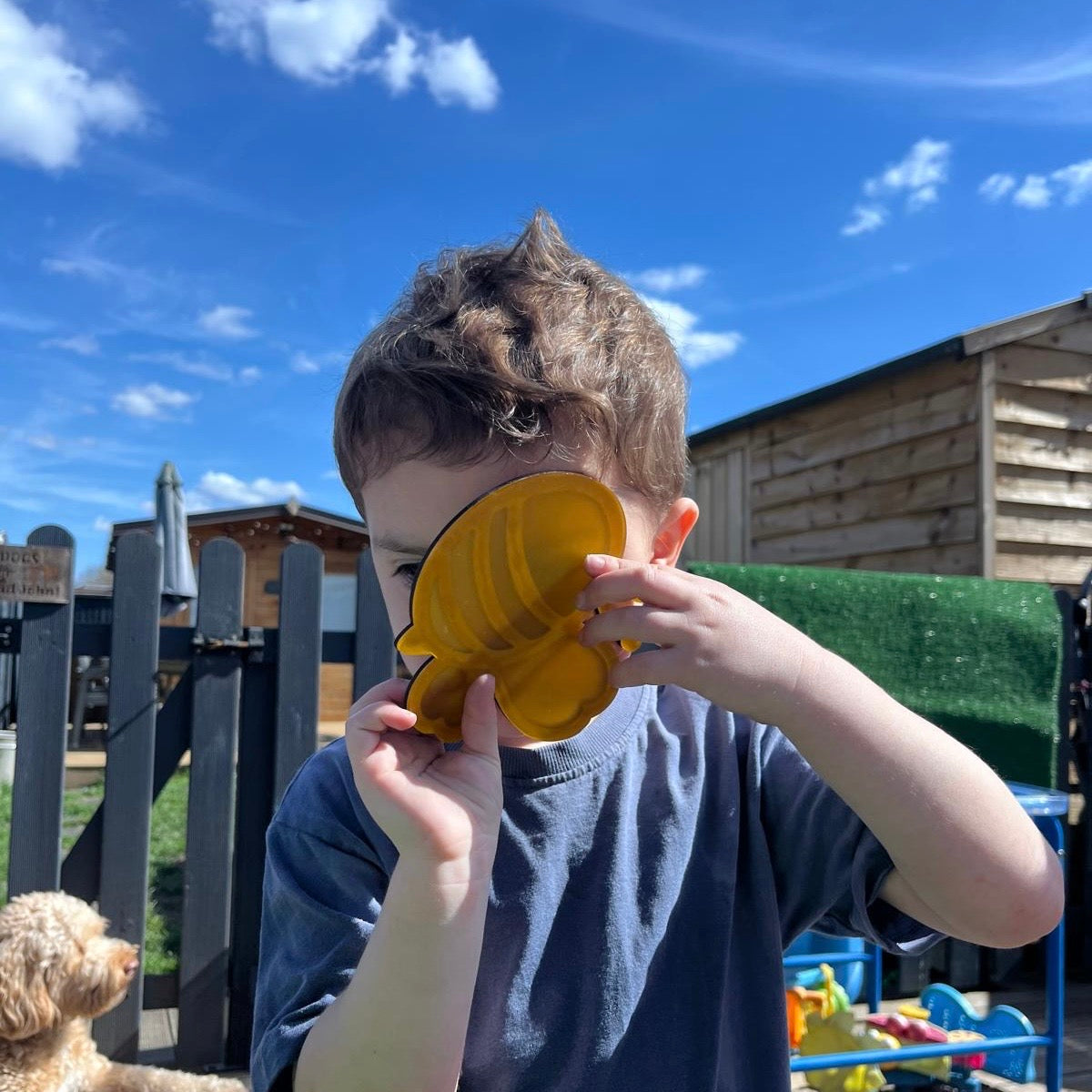 Frosted Animal Shapes