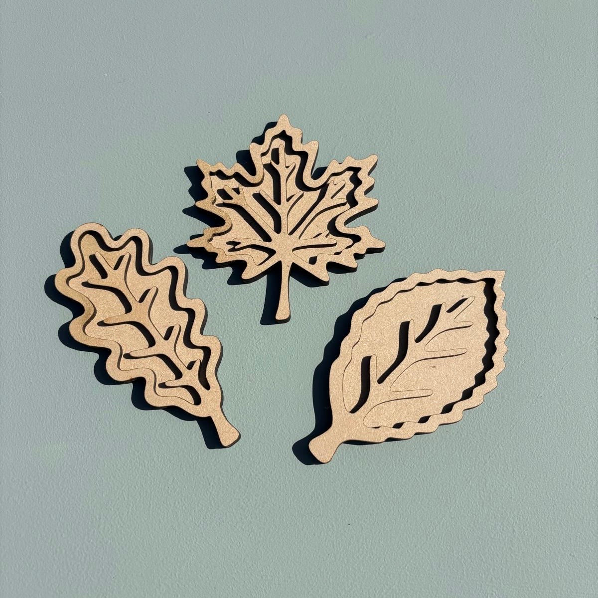 3D Autumn Leaf Blanks