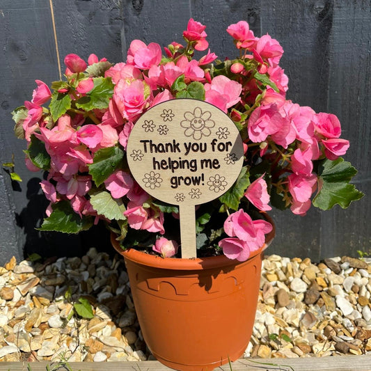 Plant Gift Tag/Teacher Gift